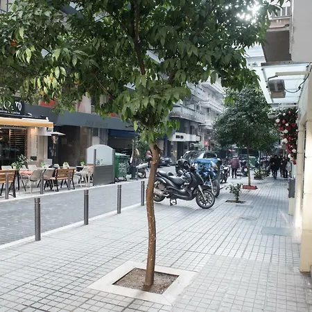 Cyclamen #colony_city_center *